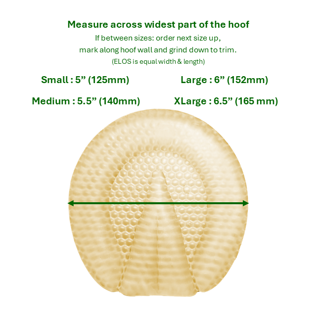 ELOS Horseshoe MEDIUM 5.5"